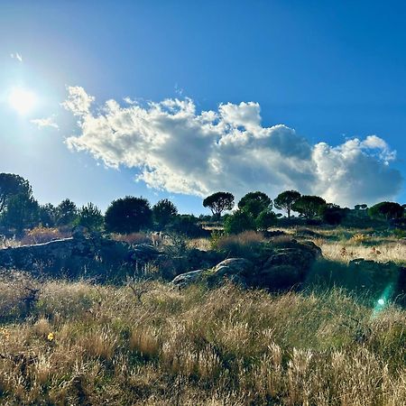 Casa Rural, “El Andador” El Hoyo de Pinares 외부 사진