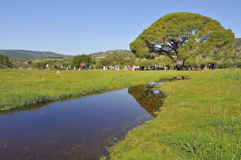 Casa Rural, “El Andador” El Hoyo de Pinares 외부 사진